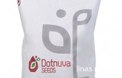 Zaļmēslojuma augi NITROFIX Zaļmēslojuma augi NITROFIX
