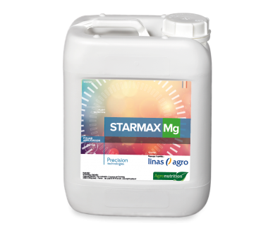 Starmax Mg