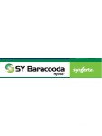 SY BARACOODA SY BARACOODA