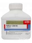 Talius Talius