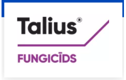 Talius