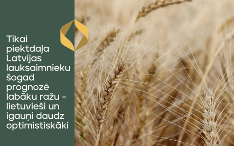 Tikai piektdaļa Latvijas lauksaimnieku šogad prognozē labāku ražu – lietuvieši un igauņi daudz optimistiskāki