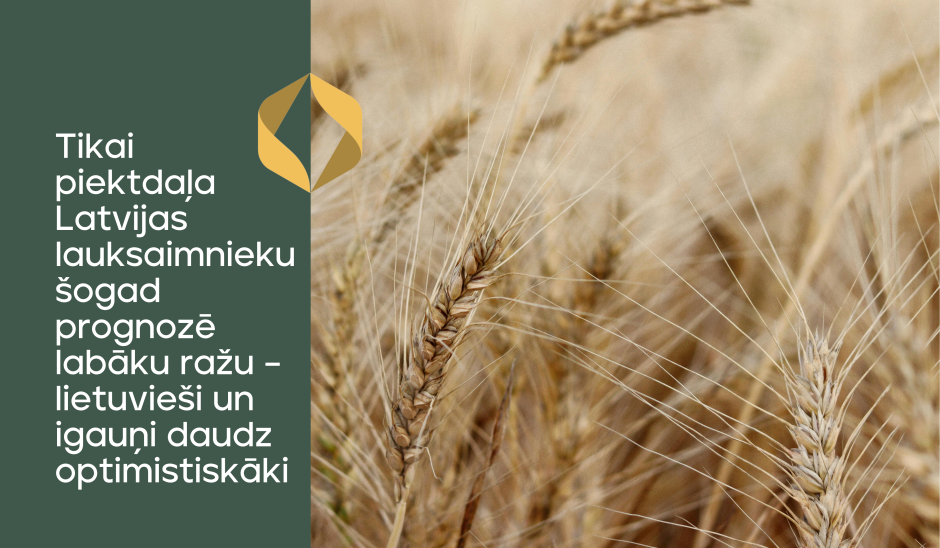 Tikai piektdaļa Latvijas lauksaimnieku šogad prognozē labāku ražu – lietuvieši un igauņi daudz optimistiskāki