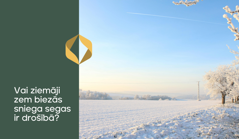 Vai ziemāji zem biezās sniega segas ir drošībā?