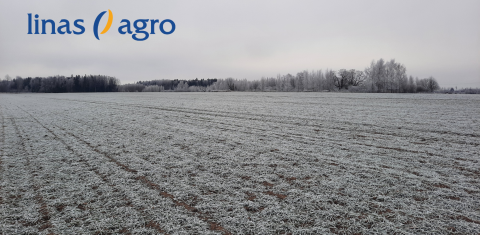 Valsts svētku priekšvakarā – intervija ar Linas Agro valdes priekšsēdētāju Martinu Ingemann Jensen Valsts svētku priekšvakarā – intervija ar Linas Agro valdes priekšsēdētāju Martinu Ingemann Jensen