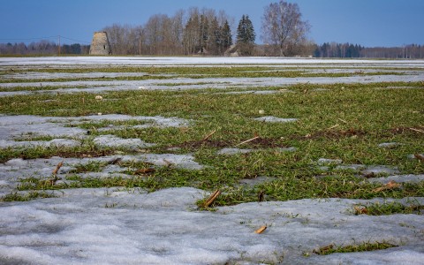 Viljainfo 10.nädal Viljainfo 10.nädal