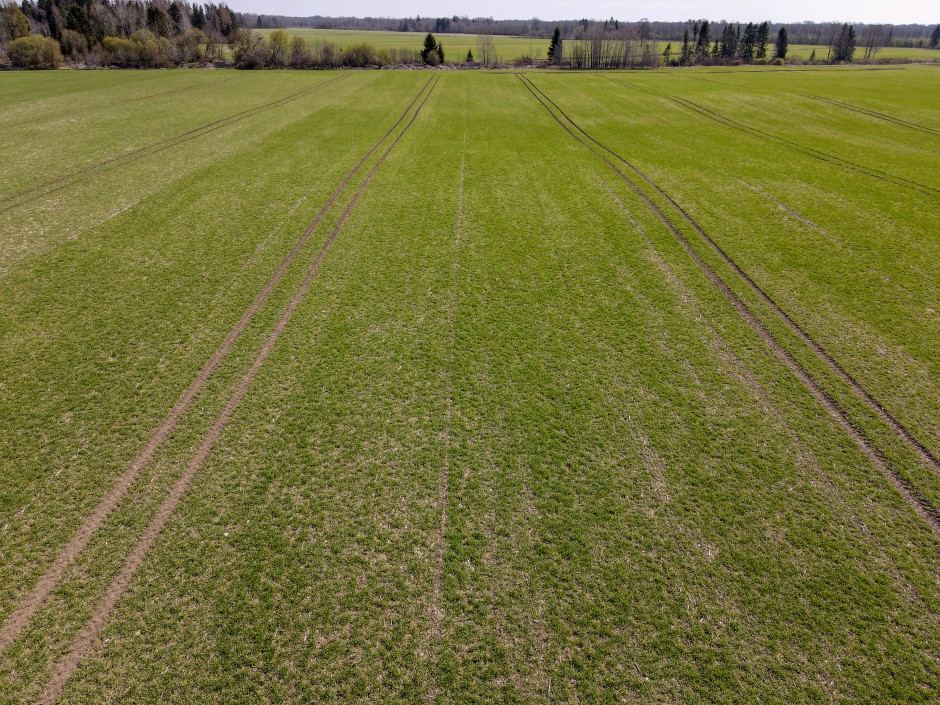 Viljainfo 18.nädal Viljainfo 18.nädal