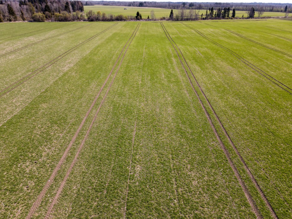 Viljainfo 21. nädal Viljainfo 21. nädal