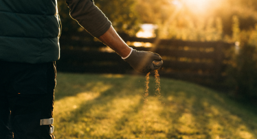 Zāliena sagatavošana gaidāmajai ziemai: ekspertu padomi, kam pievērst vislielāko uzmanību Zāliena sagatavošana gaidāmajai ziemai: ekspertu padomi, kam pievērst vislielāko uzmanību