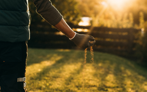 Zāliena sagatavošana gaidāmajai ziemai: ekspertu padomi, kam pievērst vislielāko uzmanību