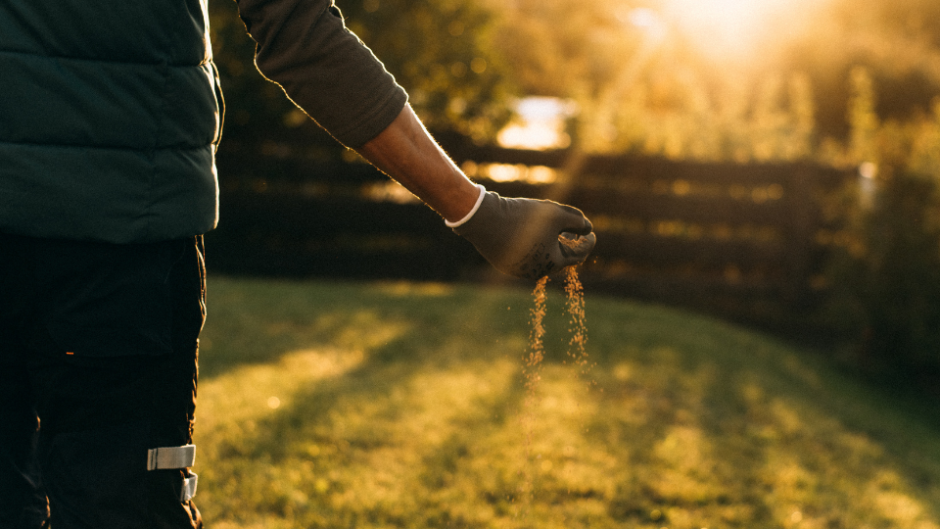 Zāliena sagatavošana gaidāmajai ziemai: ekspertu padomi, kam pievērst vislielāko uzmanību