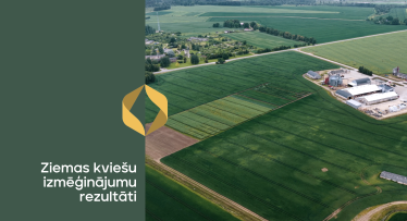 Ziemas kviešu izmēģinājumi: slimību izplatība, raža un kvalitāte 2025. gada sezonā