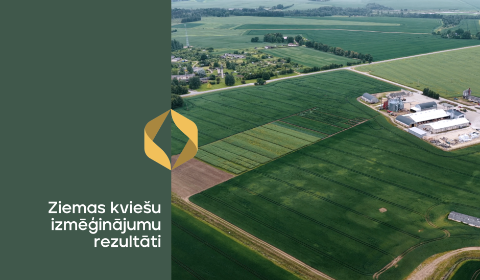 Ziemas kviešu izmēģinājumi: slimību izplatība, raža un kvalitāte 2025. gada sezonā