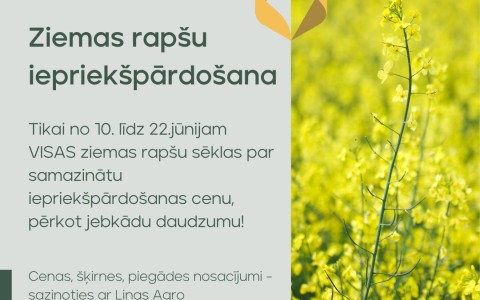 Ziemas rapša sēklu iepriekšpārdošana!