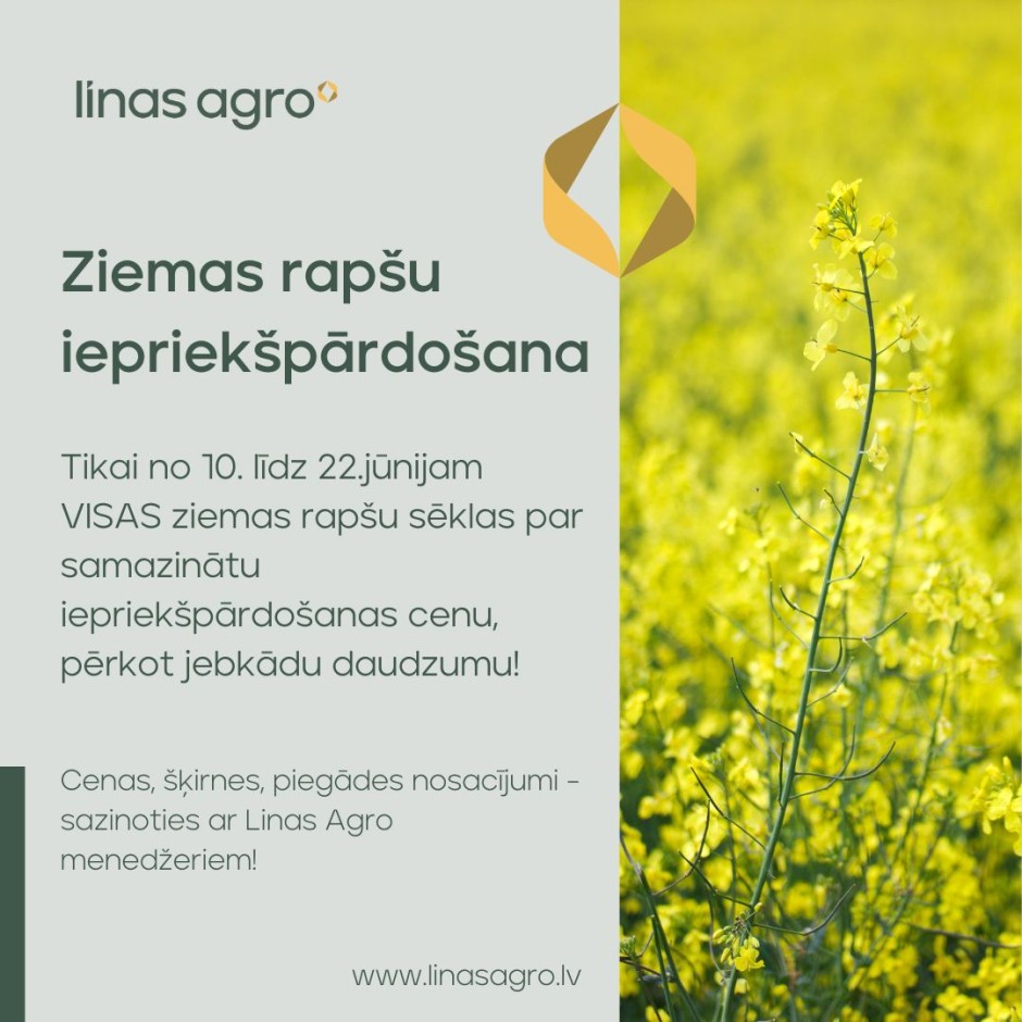 Ziemas rapša sēklu iepriekšpārdošana!