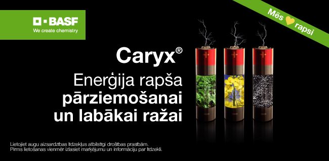 CARYX