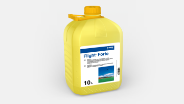 Flight Forte