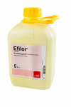 Efilor Efilor